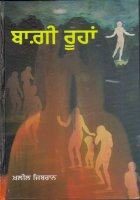 Baghi Roohan Book