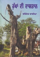 Rukhan Di Dastan Book