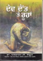 Dev daint te Roohan Book