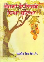 Sajna De Vehre diya Buteya Book