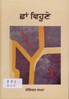 Chhaan Vihoone Book