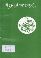 Mera Pakistani Safarnama Book
