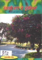 Rangli Vaat Te Turdian Book