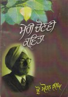 Meri Chonvi Kavita Book