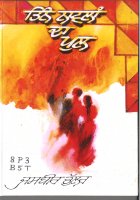 Tinn Navalan Da Pul Book