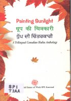 Painting Sunlight Book